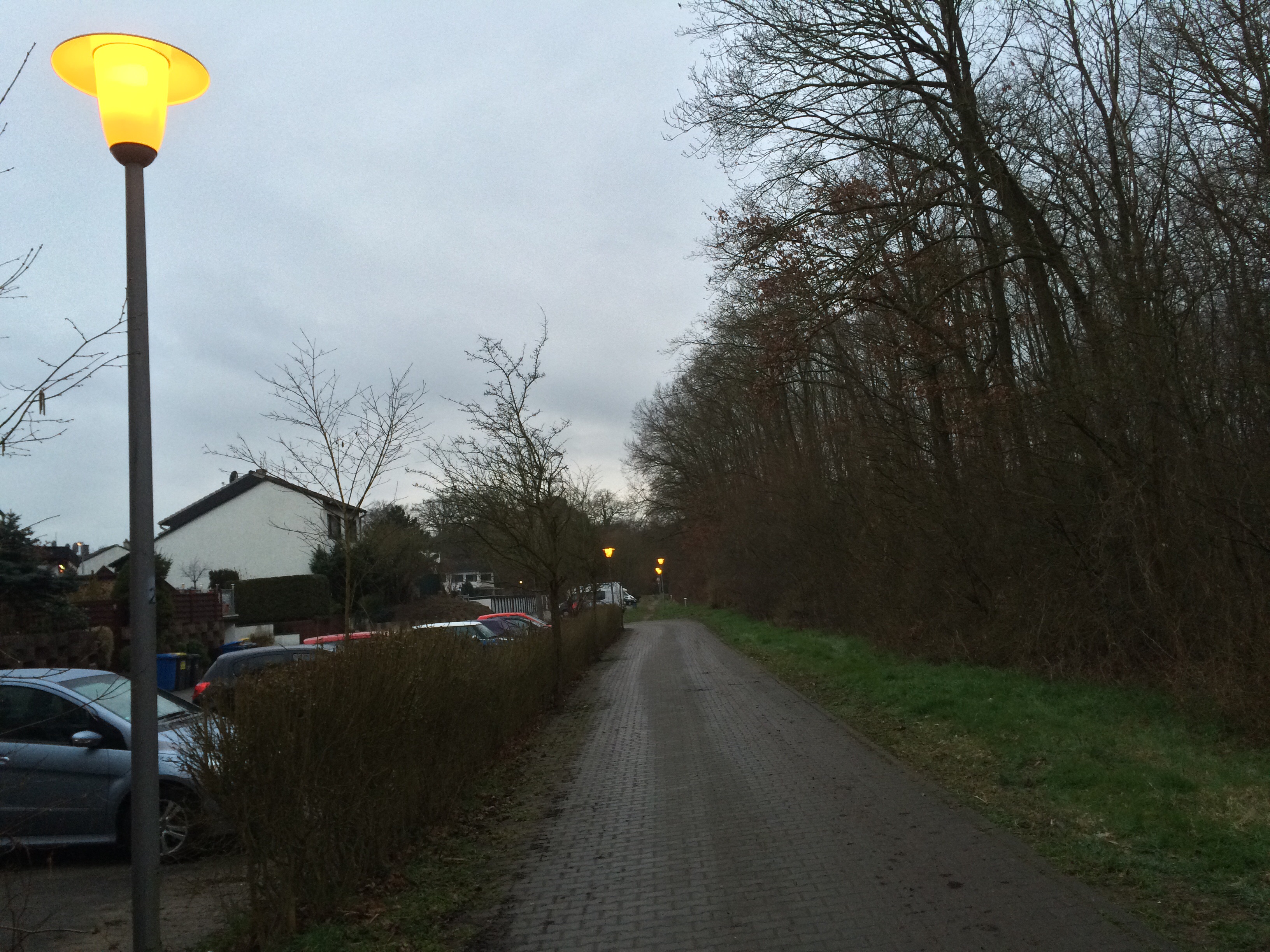 Einschalten der Straßenlaternen in Nauheim