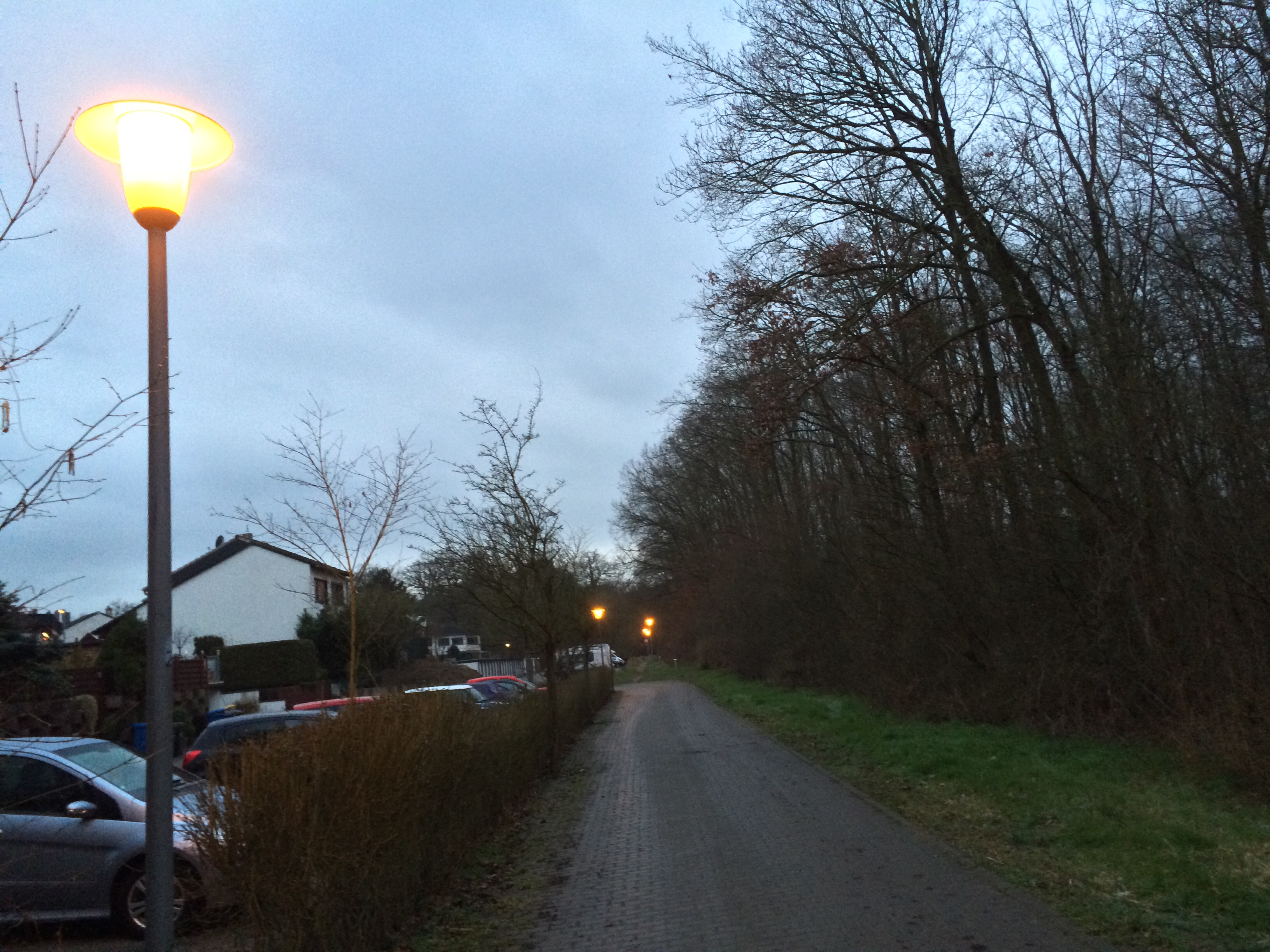 Straßenlaternen Nauheim - Im Teich