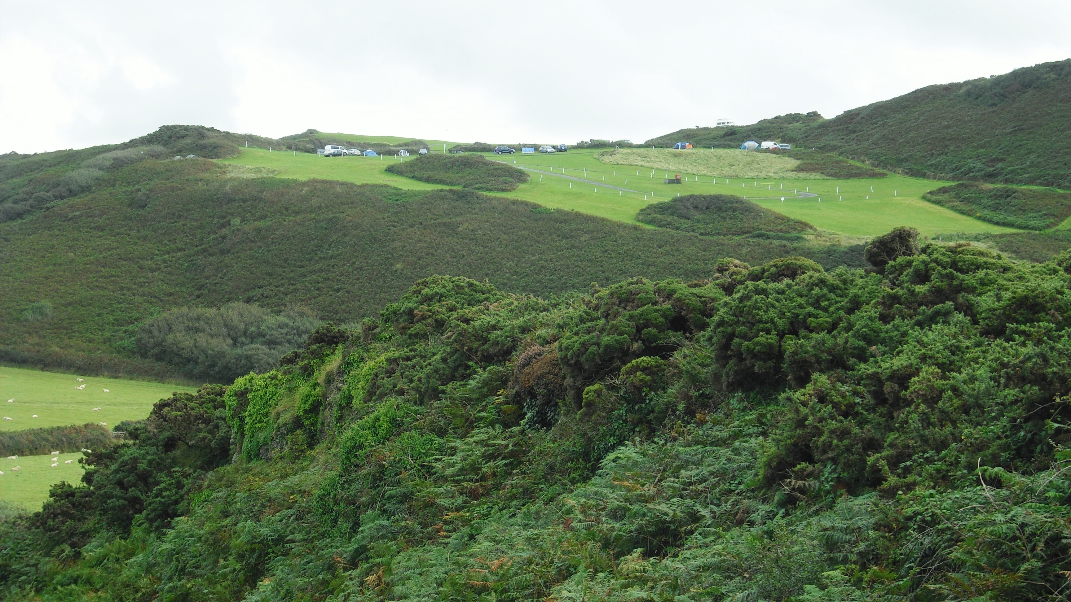 Wunderschöne grüne Landschaft - Wollacombe