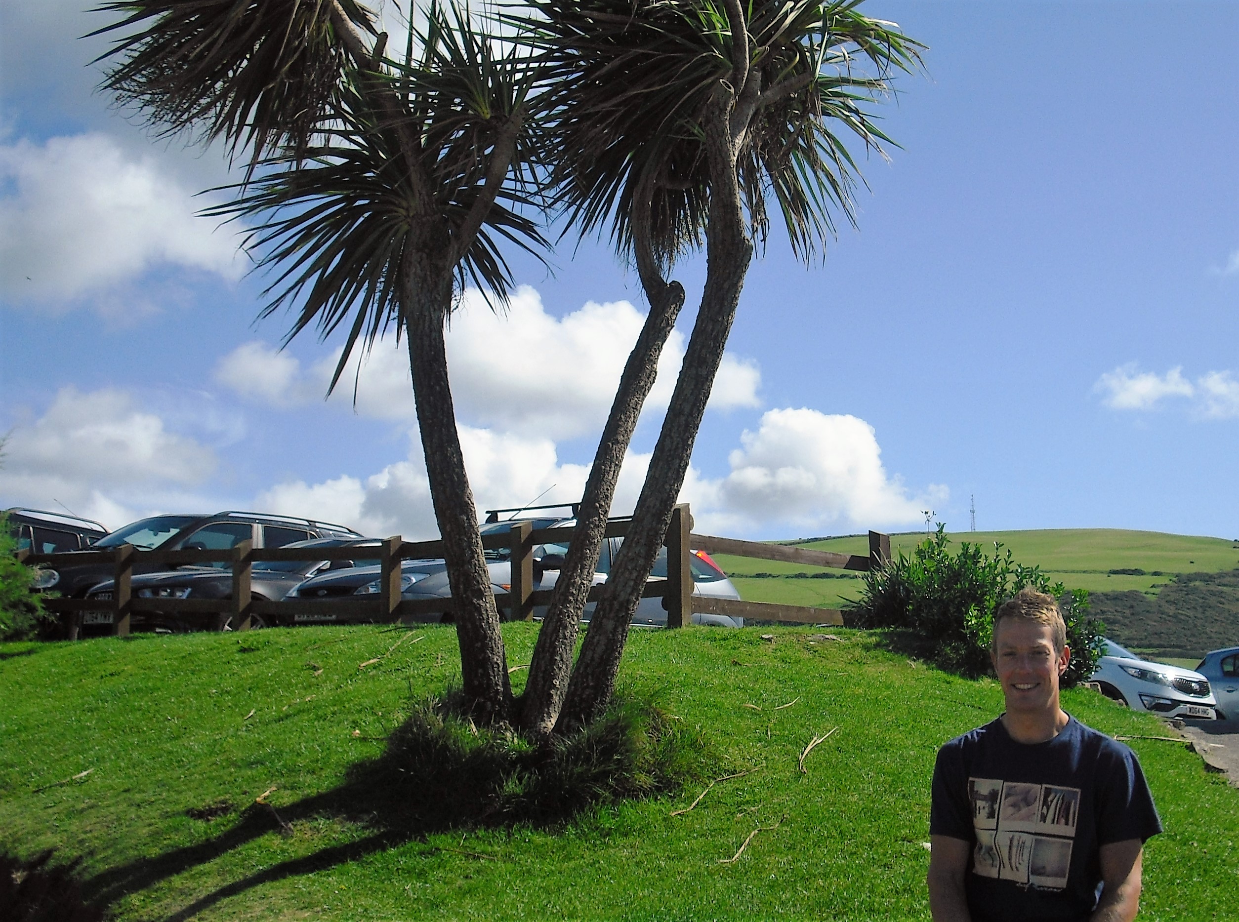 Wunderschöner Palmenstrand -Woolacombe