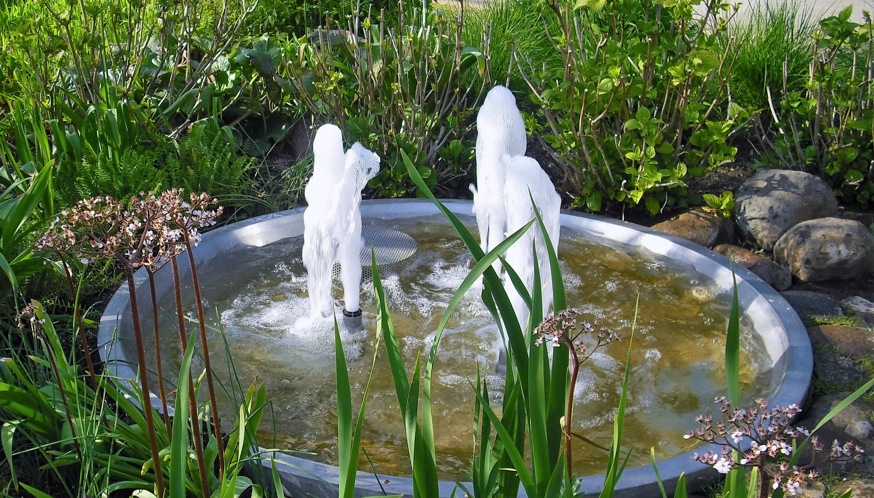 Wasserspiele - Marzahner Erholungs Park