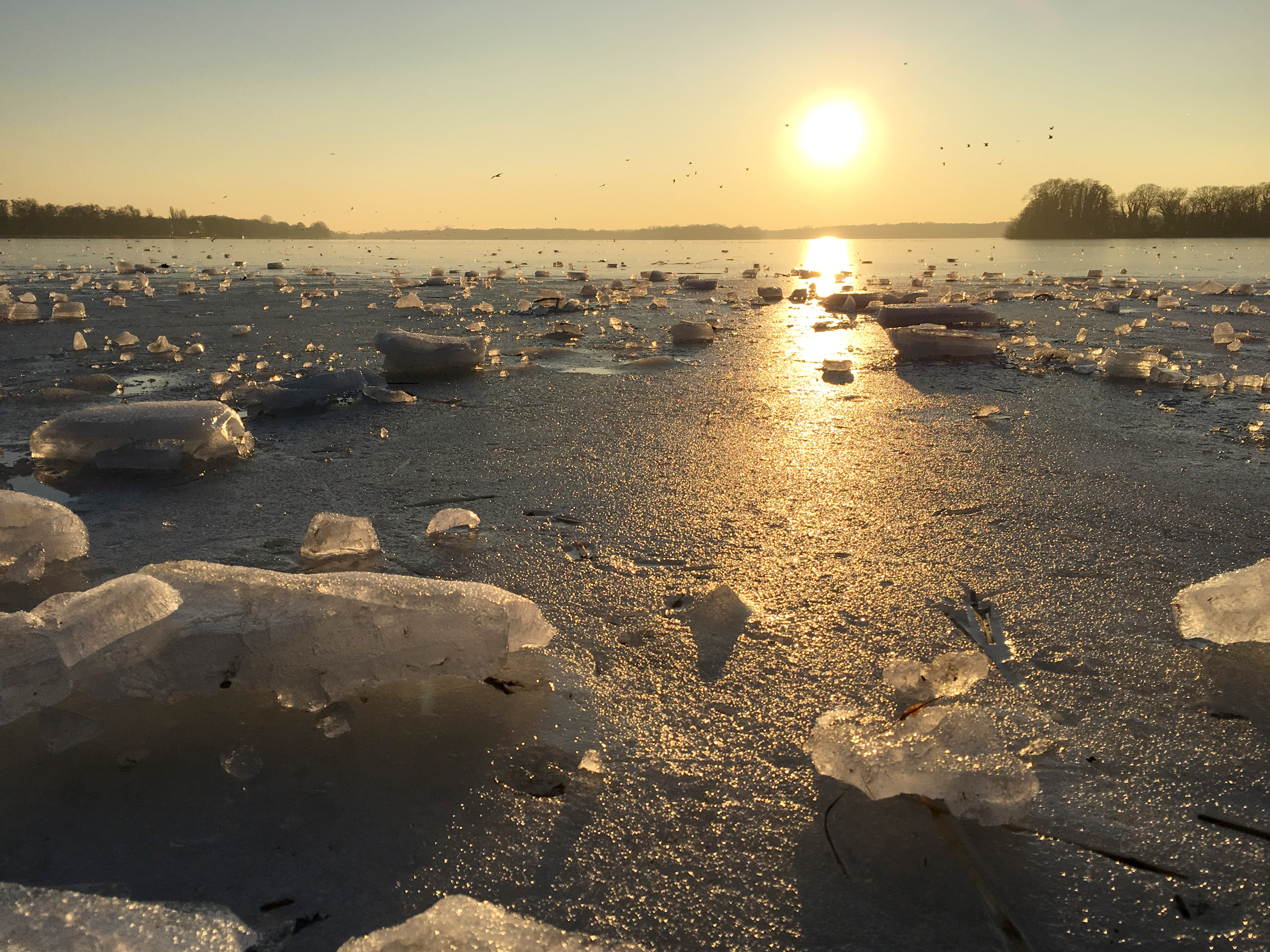 Icy Winter Sun - Tegeler See - Berlin - Germany