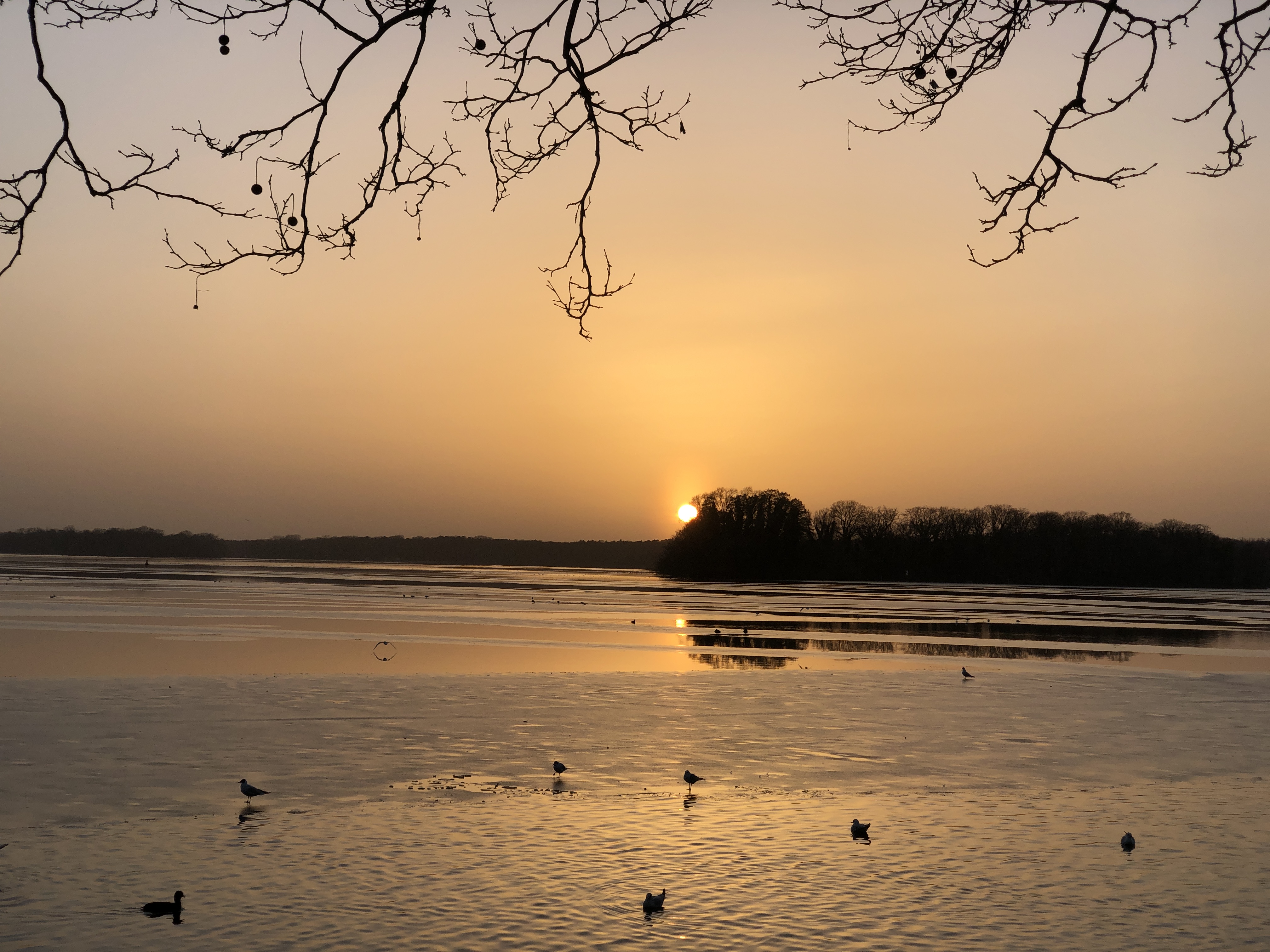 Wunderschöner Sonnenuntergang am Tegeler See