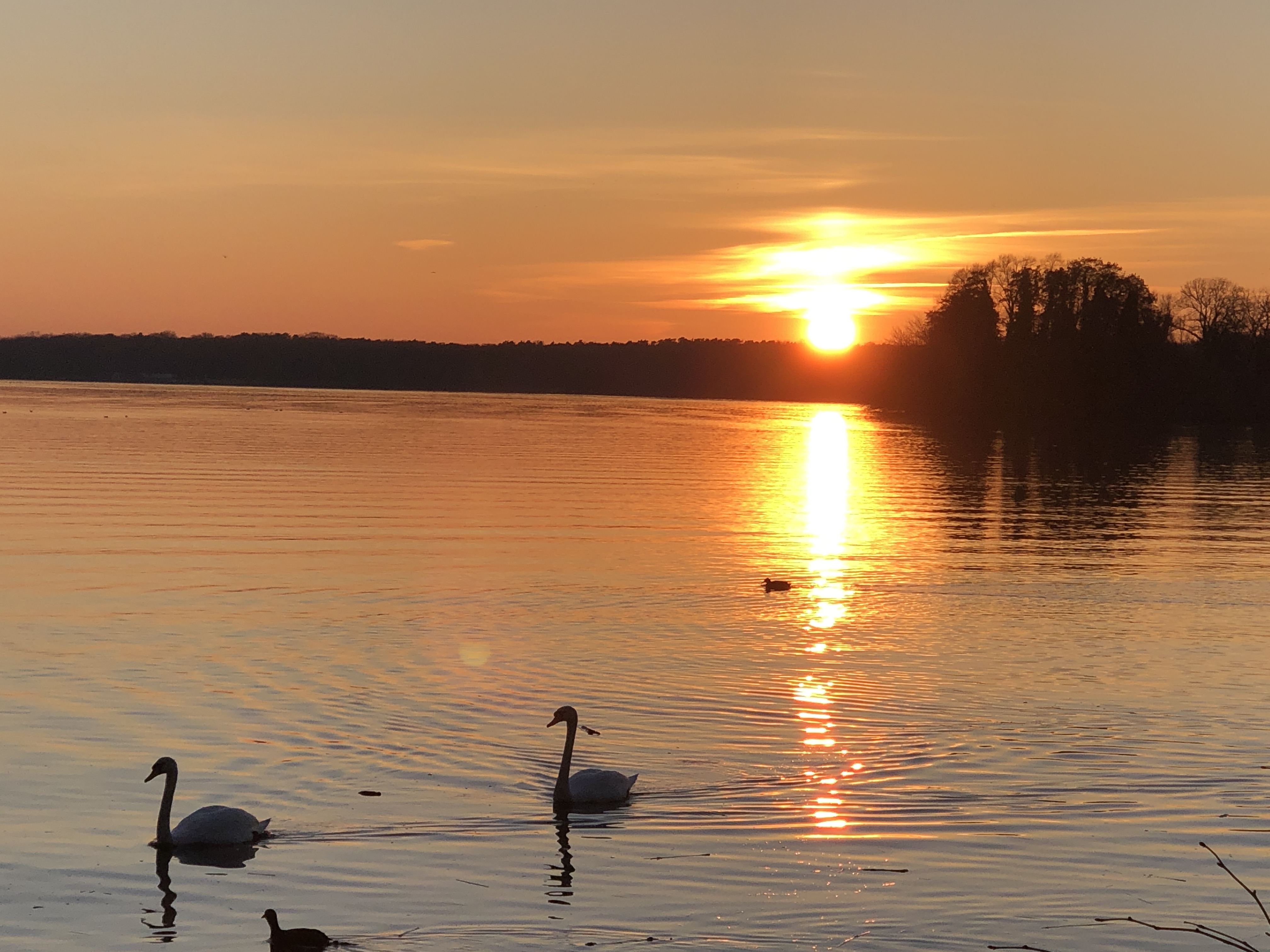 Sonnenuntergang Tegeler See