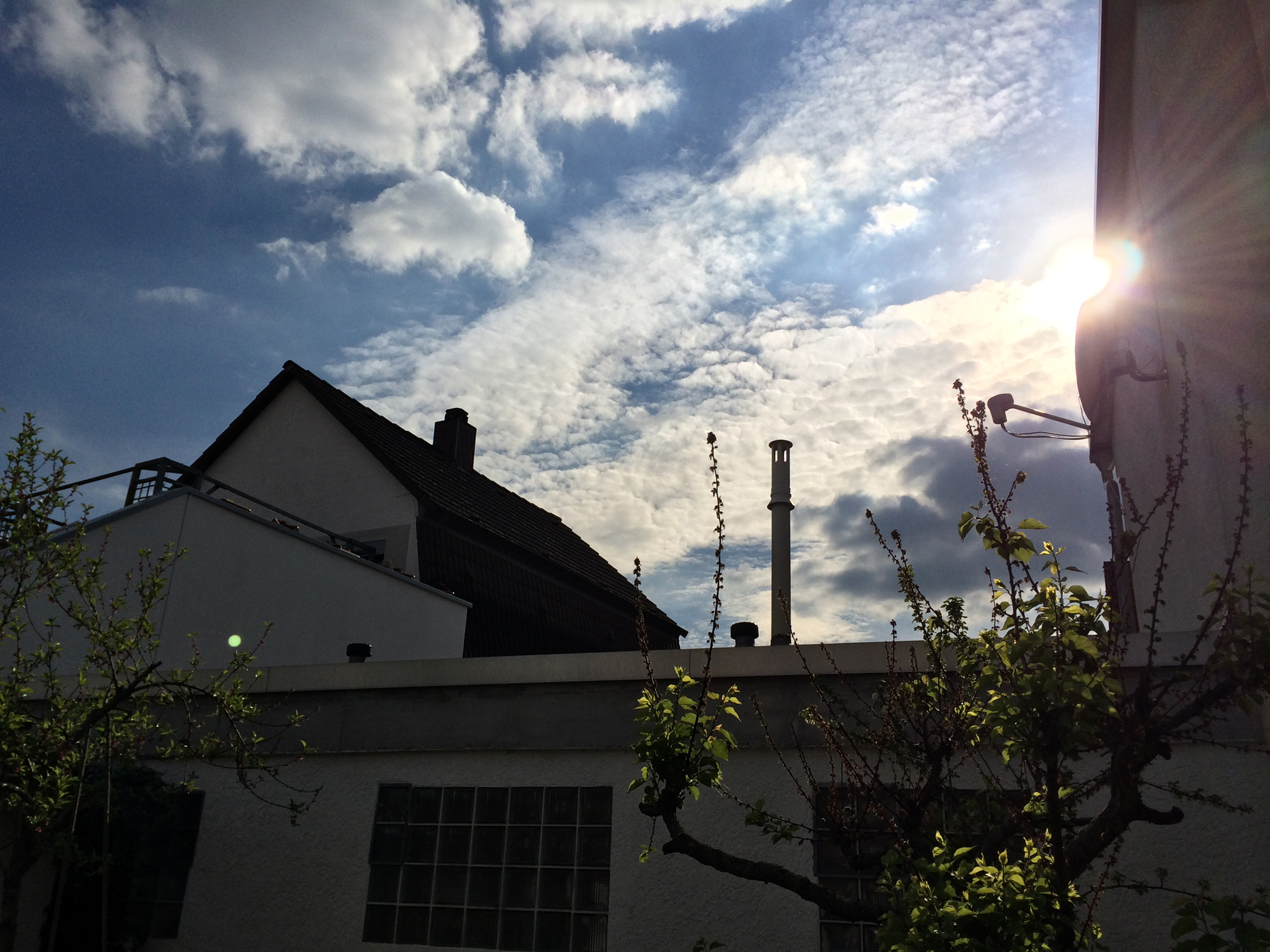 Sonnenschein am Sonntag im Garten