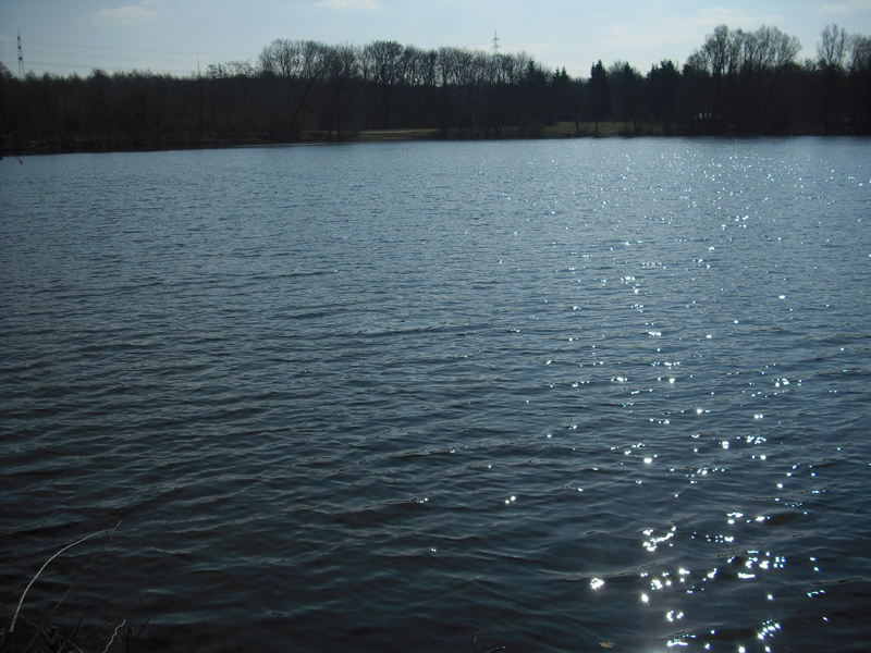 Hegbachsee Nauheim - Niederwaldsee Gross-Gerau - April 2013