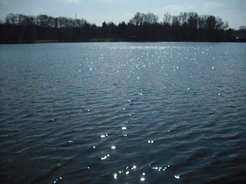 Hegbachsee Nauheim - Niederwaldsee Gross-Gerau 2013