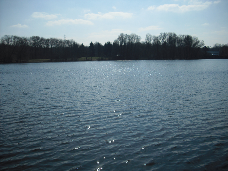 Hegbachsee Nauheim - Niederwaldsee Gross-Gerau im April 2013